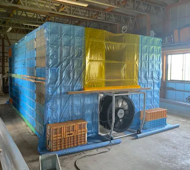 青森県　にんにくの乾燥