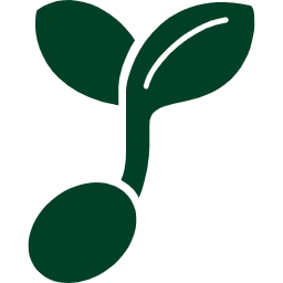 発芽と品質劣化による価値低下