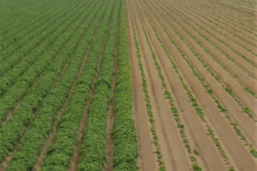 プレスプラウティング・システム