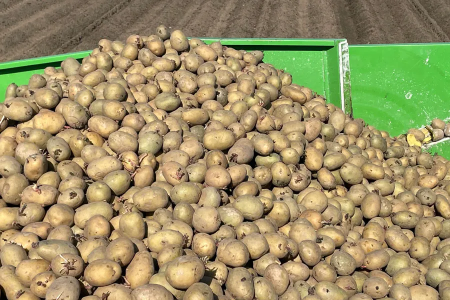 ヨッペシステム