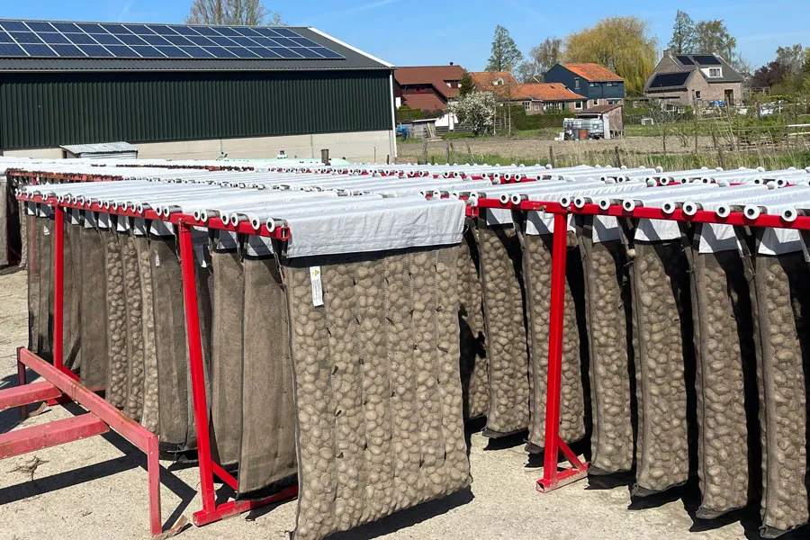 ヨッペシステム